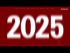 Astiland Yılan Yılı'nı Karşılıyor.