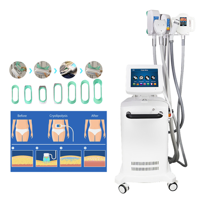Yağ Azaltma için Soğutma Heykel Cryolipolysis Zayıflama Makinesi