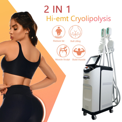 Cryolipolyse EMS Makinesi 360 Cryo Yağ Dondurucu Selülit Giderici