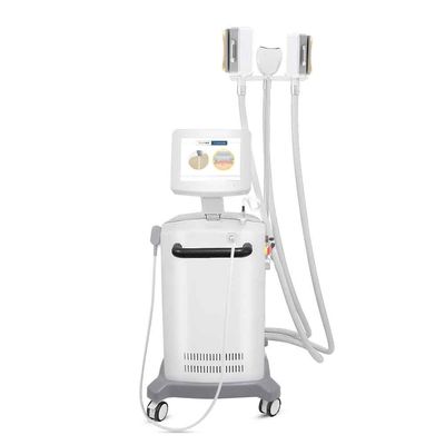 4 Cryolipolysis zayıflama makinesi kolları