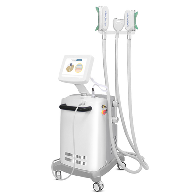 Göbek Yanan Yüksek Verimli Cryolipolysis Zayıflama Makinesi