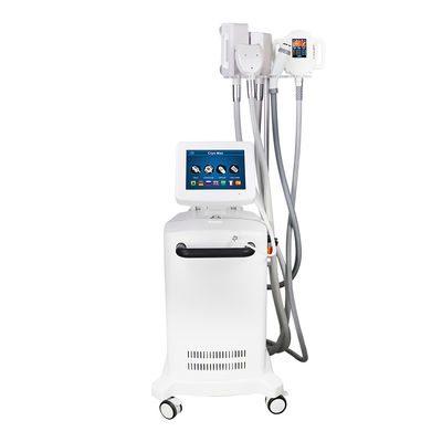 Kilo Kaybı İçin 5 Kolları Cryo Zayıflama Makinesi