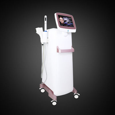 AC110V Yüz Germe Vücut Zayıflama 5D HIFU Makinesi