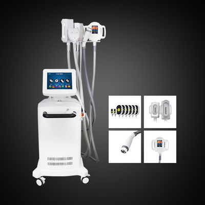5 Kolları Cryolipolysis Zayıflama Makinesi Göbek Yağ Azaltma Makinesi