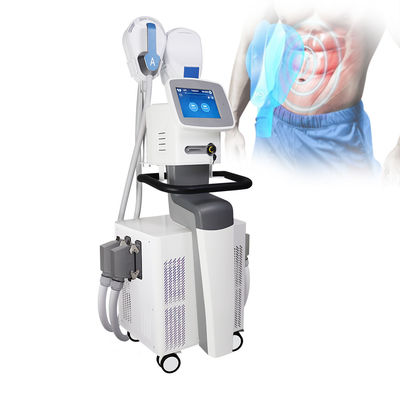 Vücut Zayıflama Kas Buliding için 4 EMS EMS SCULPTING Makinesi CE Belgeli Kolları